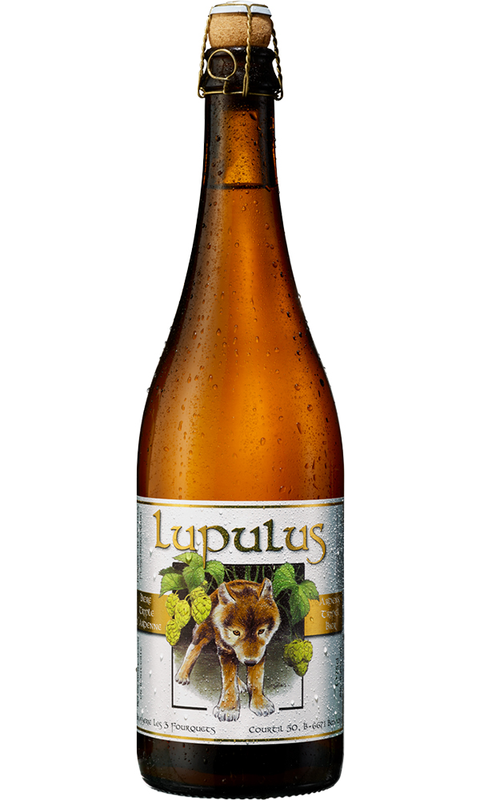 Lupulus blonde 