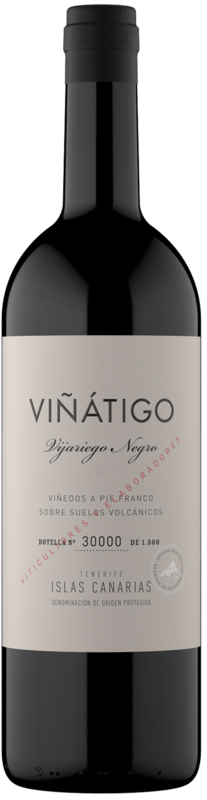 Viñátigo Vijariego Negro