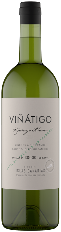 Viñatigo Vijariego Blanco