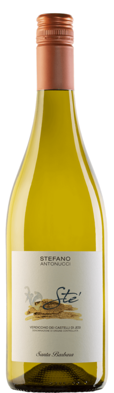 Sté Verdicchio