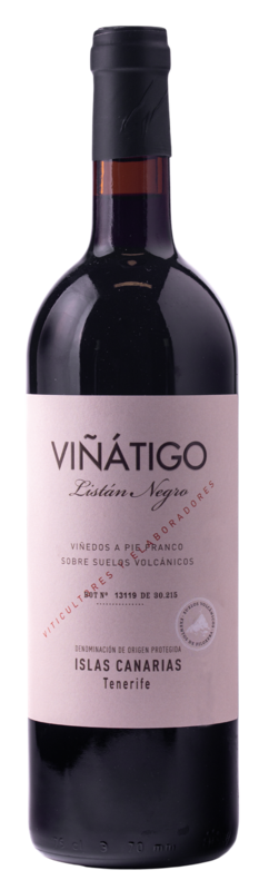 Viñátigo Listán Negro