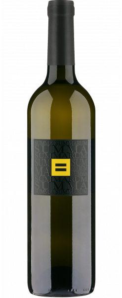 Summa Summarum Pinot Grigio
