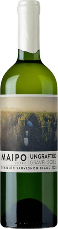 Semillon | Sauvignon Blanc Ungrafted