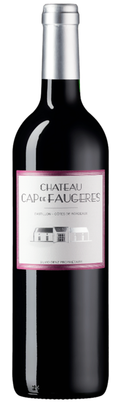 Château Cap de Faugères