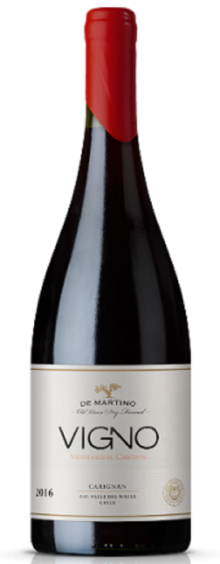 Carignan Vigno