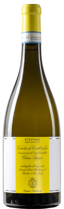 Stefano Antonucci Bianco, Castelli di Jesi