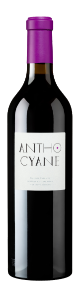 Anthocyane