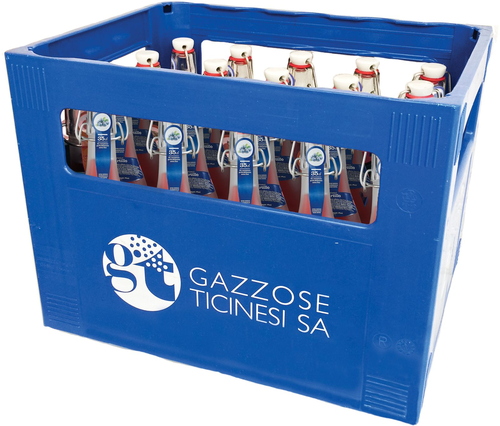 Gazzosa Fizzy Mirtillo