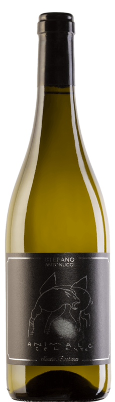 Sauvingon Blanc Animale Celeste