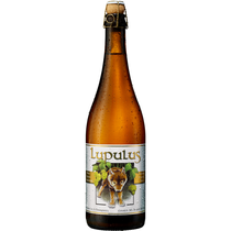 Lupulus blonde 