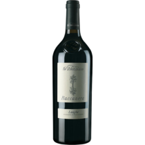 Lo Zoccolaio, Baccanera, Langhe Rosso