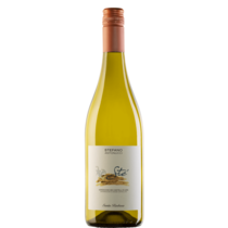 Sté Verdicchio