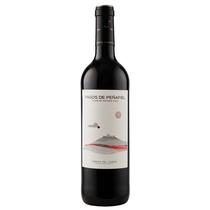 Pagos de Peñafiel Roble
