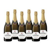 Pere Ventura Reserva Brut | Jahreswein-Set