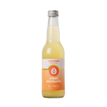 Urban Kombucha Grüner Tee Ingwer