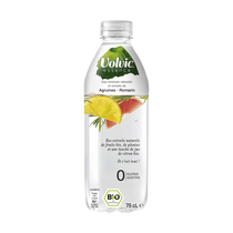 Volvic Essence Zitrusfrucht Rosmarin