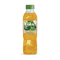 Volvic Tee Minze
