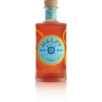 Gin Malfy Arancia