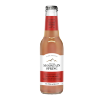 Swiss Mountain Spring South Beans Ginger Ale