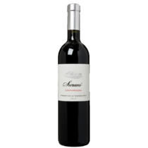 Primitivo Costarossa