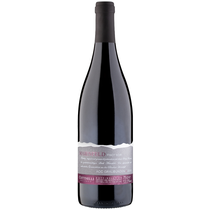 Pinot Noir Maienfeld
