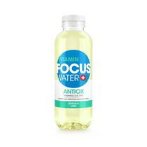 Focus Water Antiox Zitrone & Ingwer