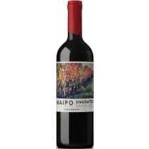 Carmenère Ungrafted