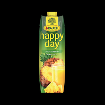 Rauch happy day Ananassaft 100%
