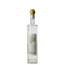 Grappa di Moscato Valdavi Berta